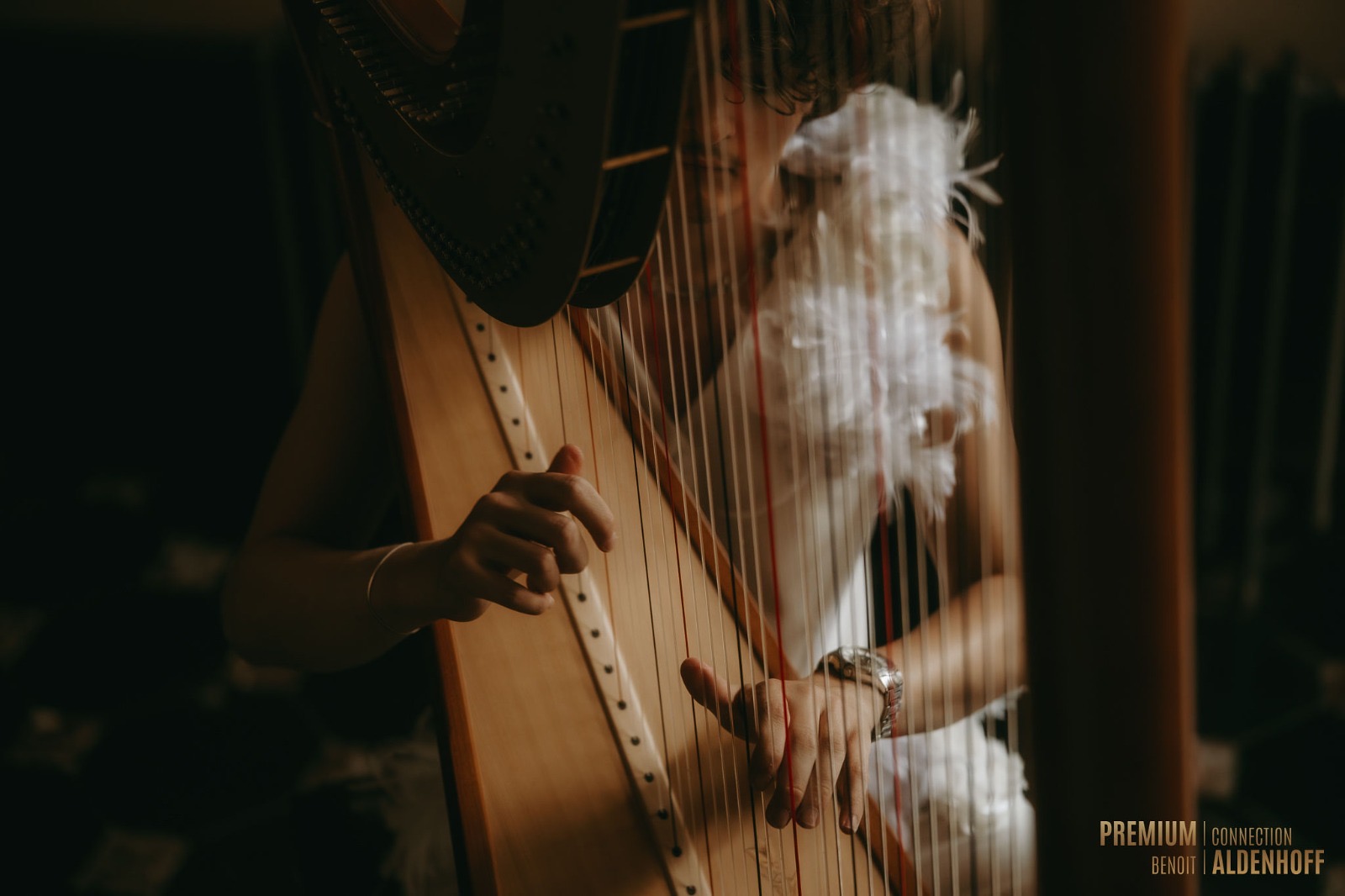 François Moriau à la harpe